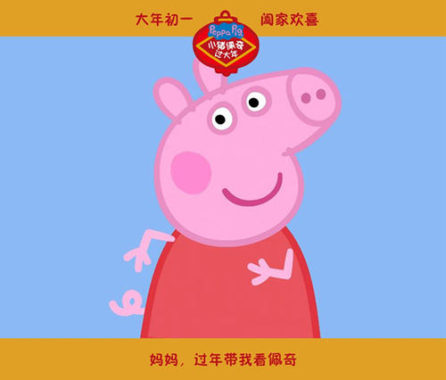 高中毕业证字第多少号